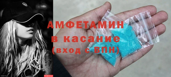 индика Алексин