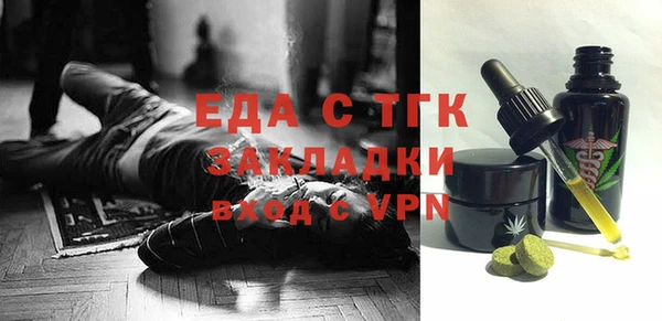 индика Алексин